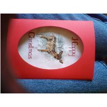 Customer photo for Derwentwater Designs Christmas Delivery Cross Stitch Kit