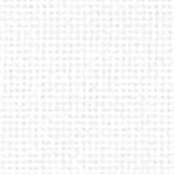 Linda 27 Count Evenweave - White