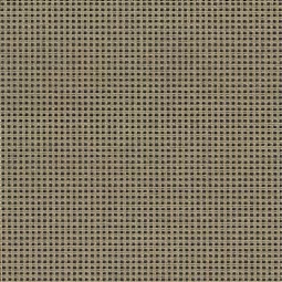 Tapestry Duo Canvas 10 Count - Antique
