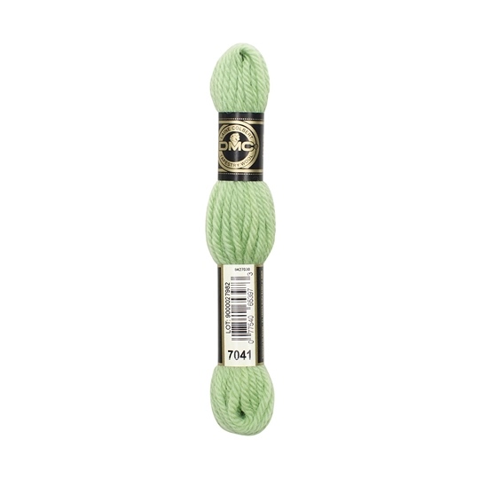 DMC Tapestry Wool 7041
