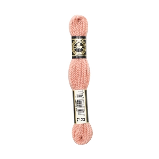 DMC Tapestry Wool 7123