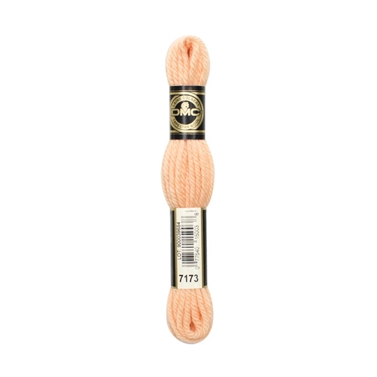DMC Tapestry Wool 7173