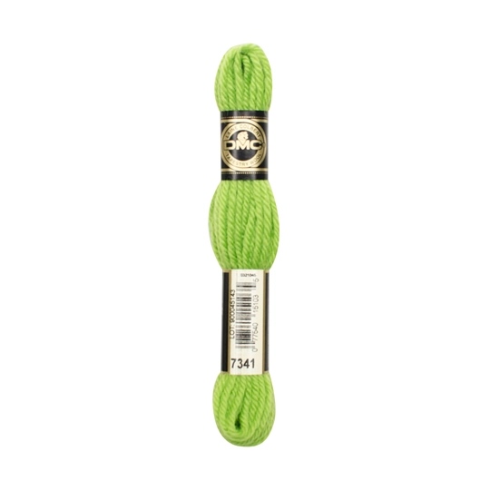 DMC Tapestry Wool 7341