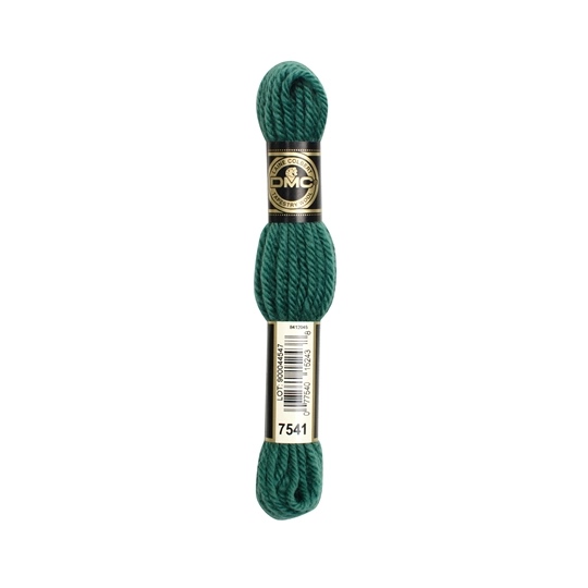 DMC Tapestry Wool 7541
