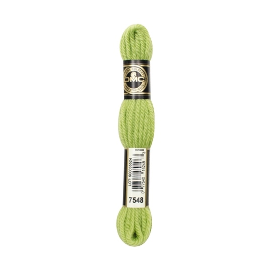 DMC Tapestry Wool 7548