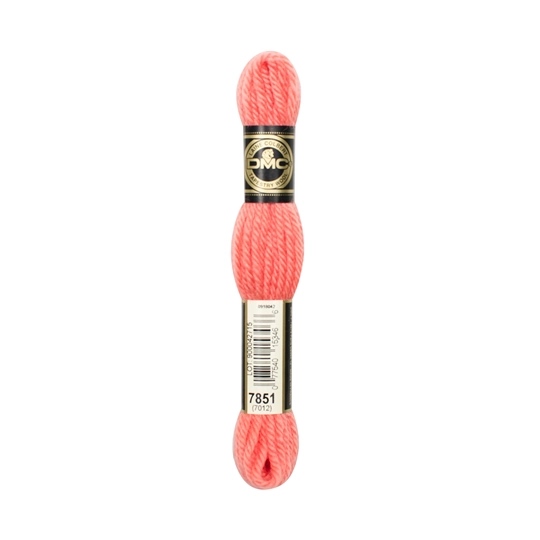 DMC Tapestry Wool 7851