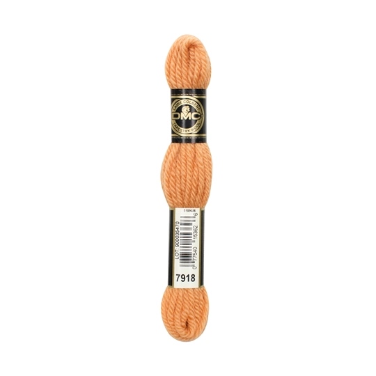DMC Tapestry Wool 7918