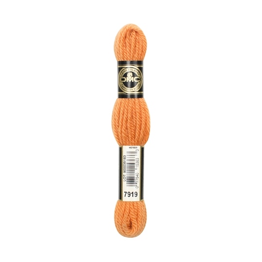 DMC Tapestry Wool 7919