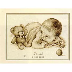 Baby with Teddy Birth Record 