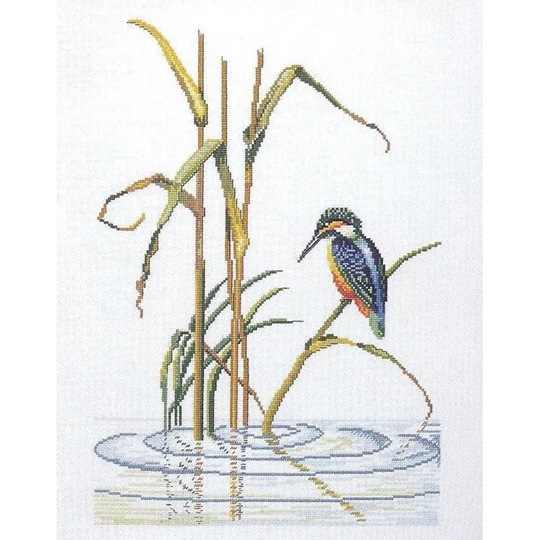 Kingfisher Ripples