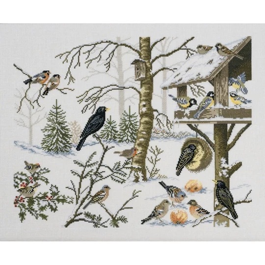 Feeding Birds