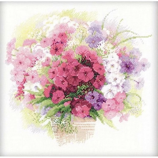 Watercolour Phlox