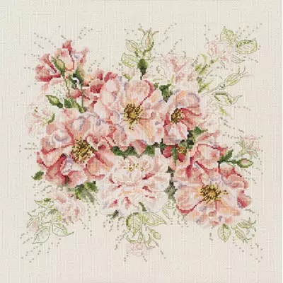 Garden Roses