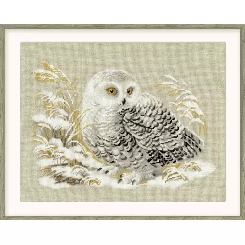 Wise Owl