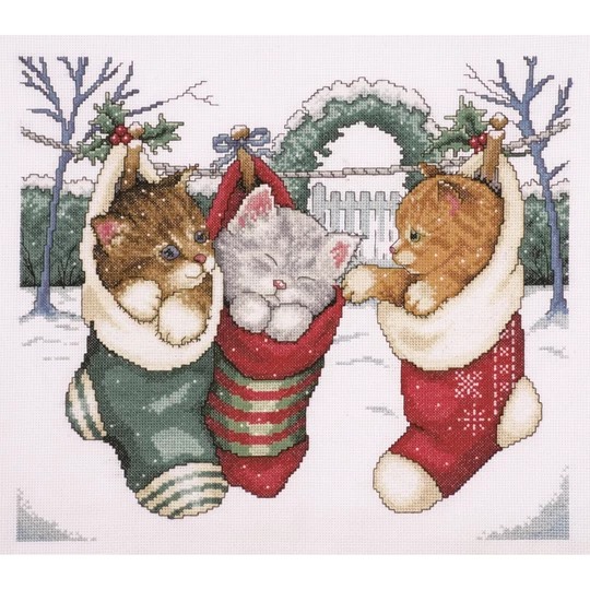 Cozy Kittens