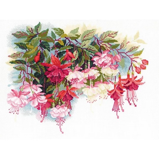 Fuschia