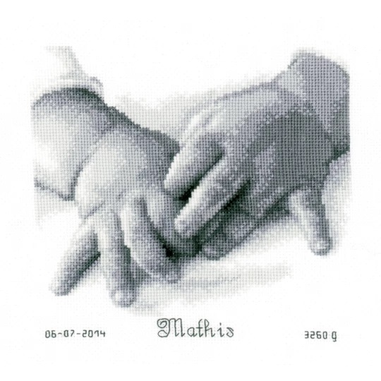 Baby Hands Birth Record 