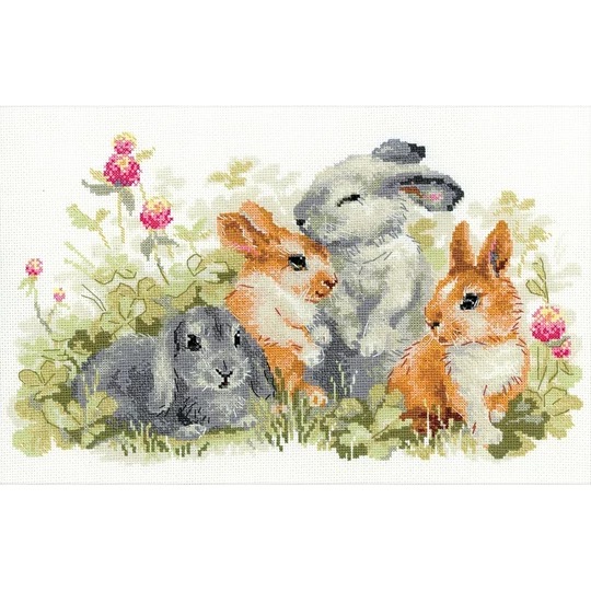Funny Rabbits