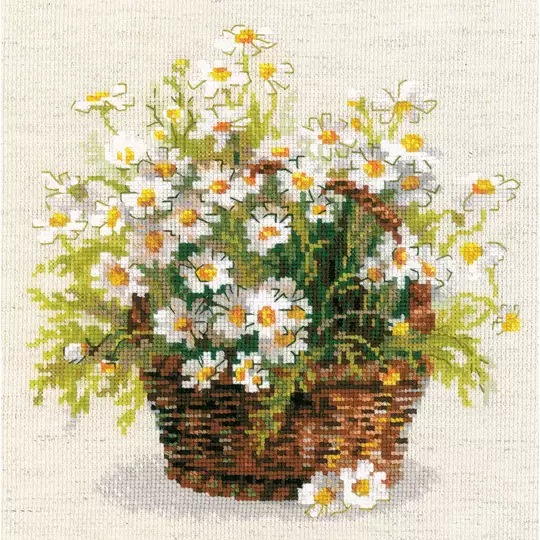 Russian Daisies