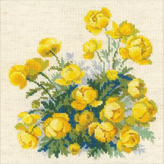 Globe Flower
