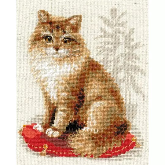 Pet Cat