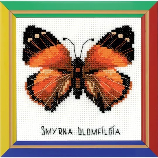 Nymphalidae Butterfly