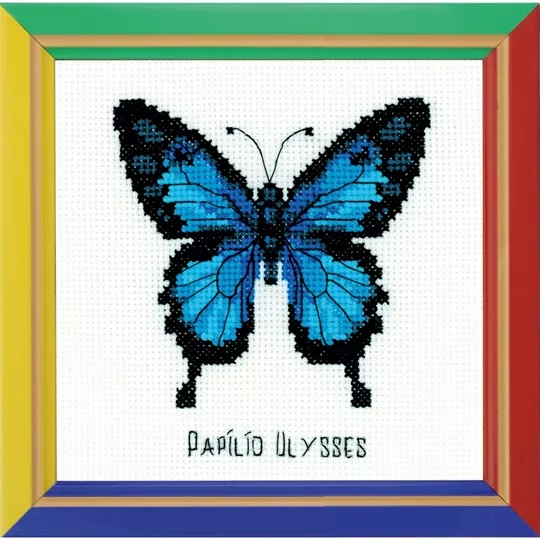 Ulysses Butterfly