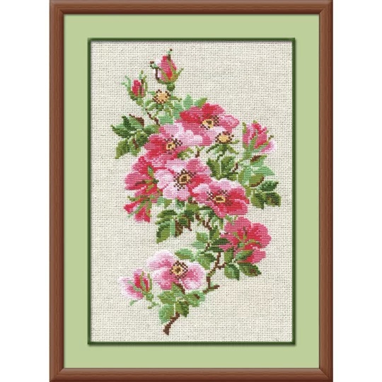 Dog Roses