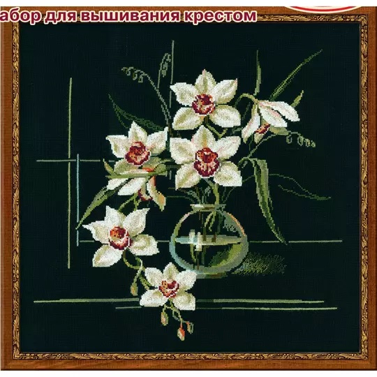 White Orchid
