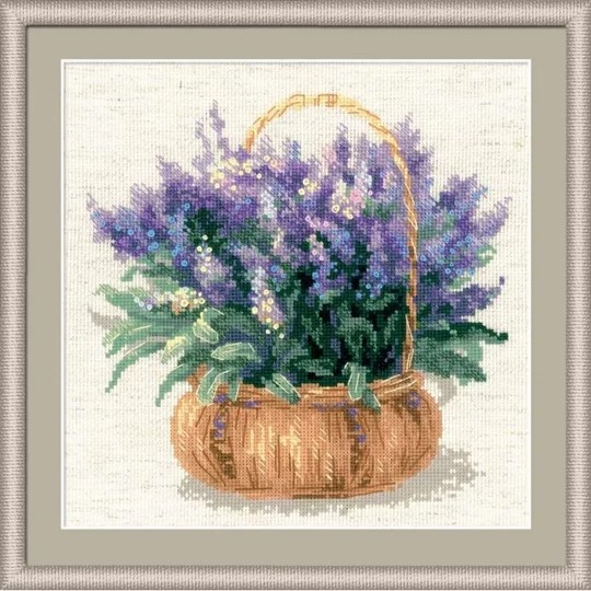 French Lavender