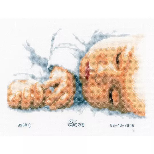 Newborn Birth Record 