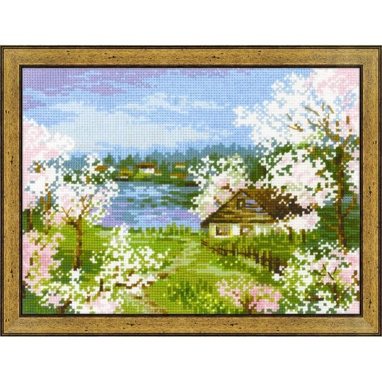 Apple Blossoms