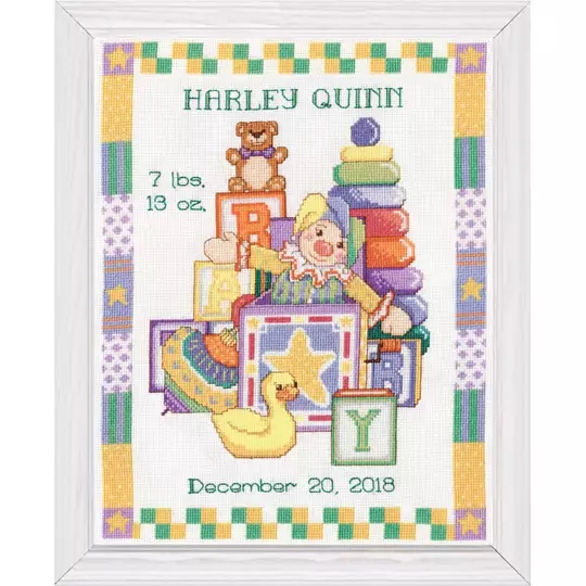 Toys Birth Sampler