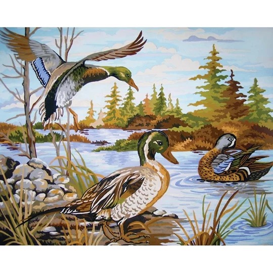 Mallards