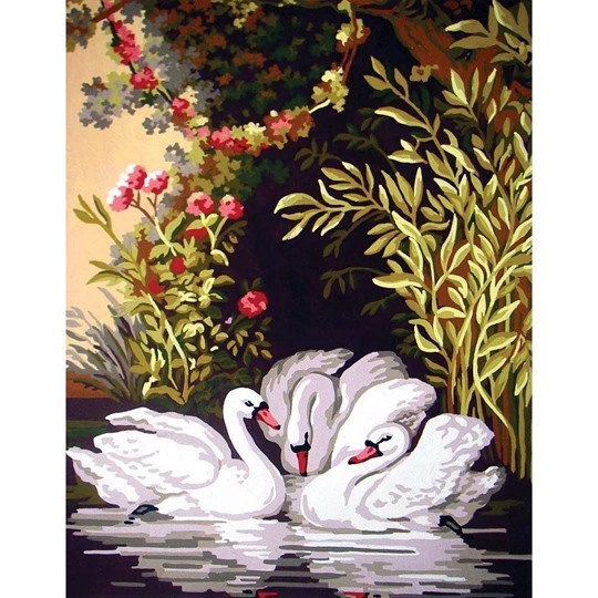 Swans in the Shade