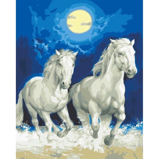 Moonlight Gallop
