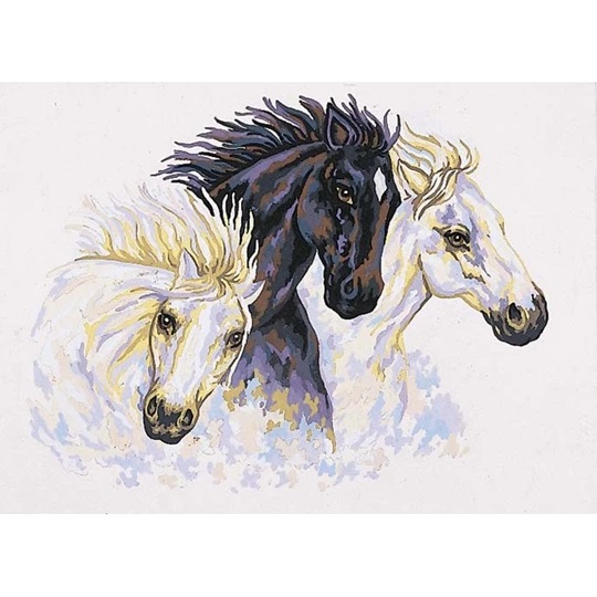 Equine Study