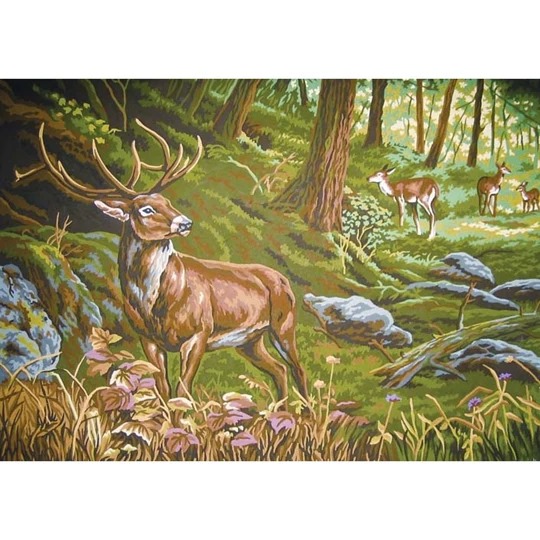 Watchful in the Forest