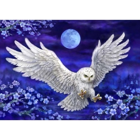 Moonlight Owl
