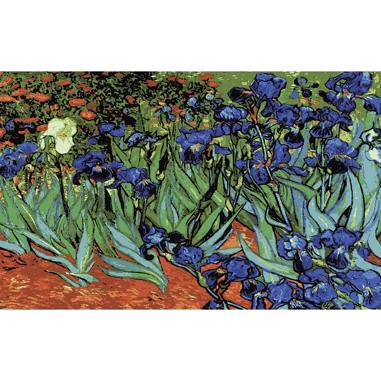 Irises
