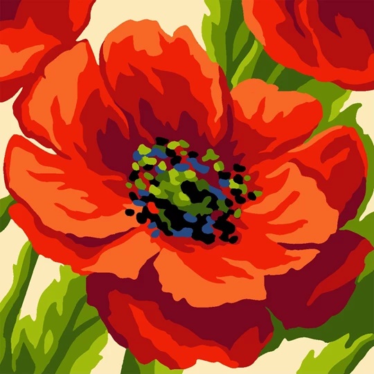 Summer Poppy