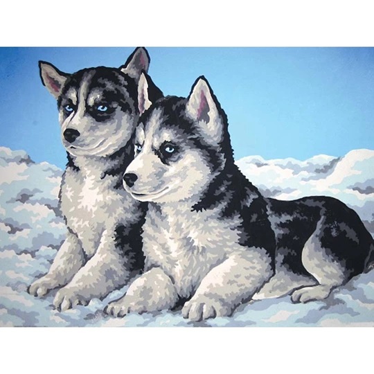 Husky Puppies