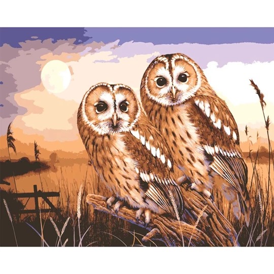 Owls by Moonlight