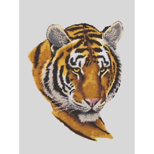 Tiger Portrait