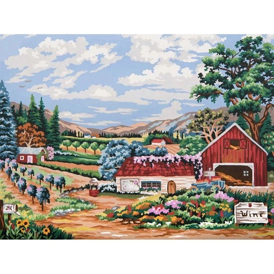 Vineyard