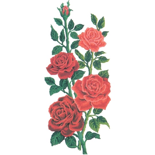 Red Roses
