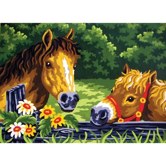 Curious Ponies