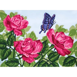 Pink Roses and Butterfly