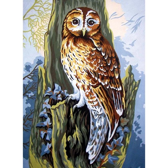 Owl