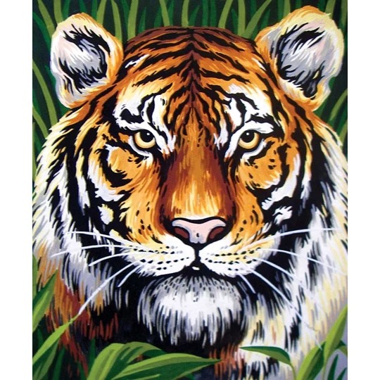 Tiger Portrait